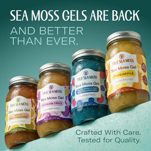 Buy now TrueSeaMoss Sea Moss Gel – Made in USA – Wildcrafted Seamoss, Fruits & Jarred Vegetables – Pineapple, Pack of 1 (Labels may Vary) at indiglob india