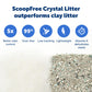 Buy now PetSafe ScoopFree Disposable Crystal Cat Litter Tray - Easy Cleaning Box - Refill Tray for Electric Litter Box - Fragrance Free - 4.3 lb Bags - 6 Pack at indiglob india