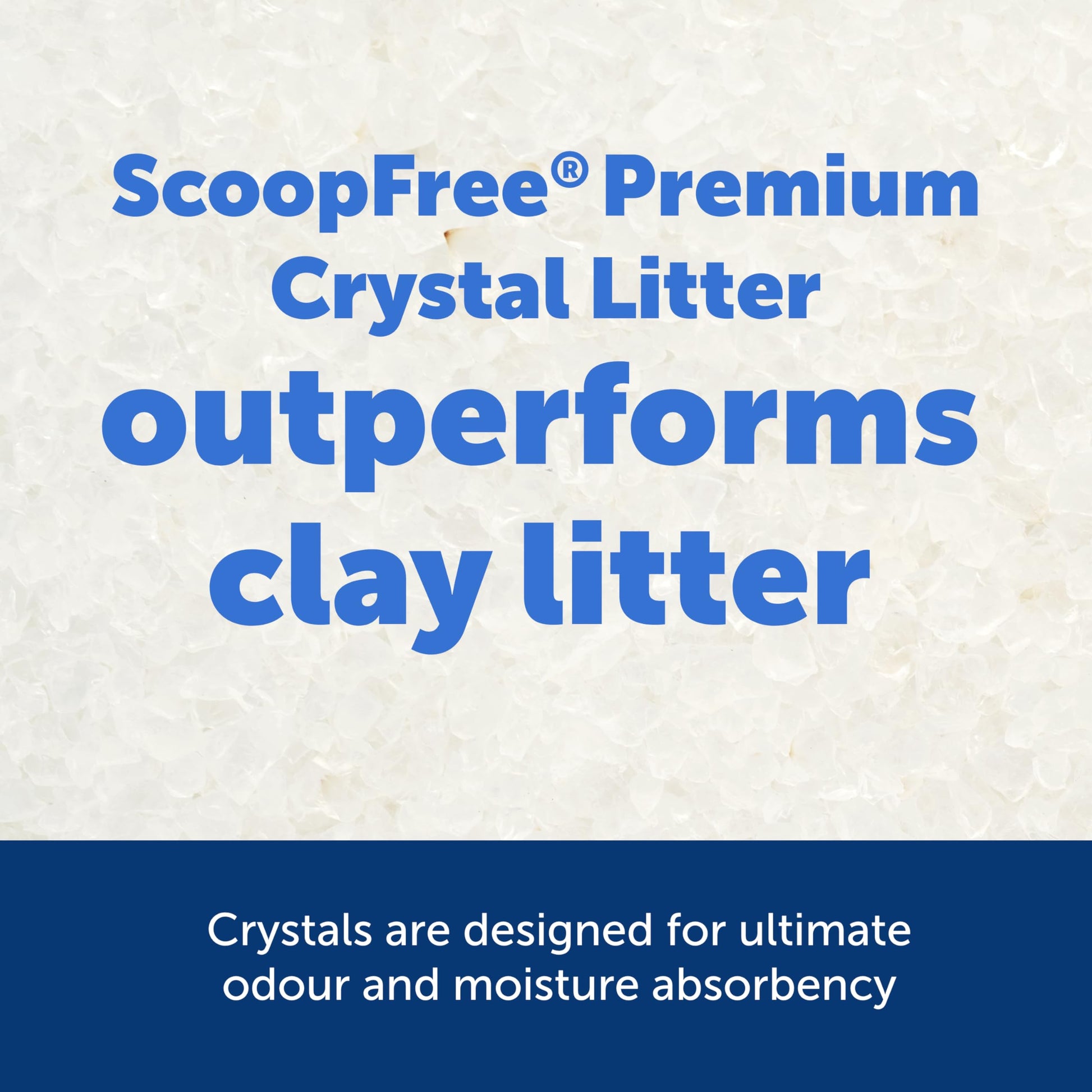 Buy now PetSafe ScoopFree Premium Natural Cat Litter - Eco-Friendly Long-Lasting Litter - High Absorbency & Low-Tracking Design - Non-Clumping Pebbles - 4.2 lb Bag - 2 Pack at indiglob india