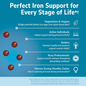 21st Century Slow Release Iron Tablets, 60 Count