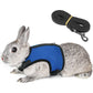 PETTOM Bunny Rabbit Harness with Stretchy Leash Cute Adjustable Buckle Breathable Mesh Vest for Kitten Small Pets Walking (Blue,S)