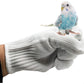 alfyng Bird Training Anti-Bite Parrot Chewing Protective Gloves, Small Animal Handling Gloves for Parrotlets Cockatiels Finch Macaw (1 Pair White)