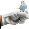 alfyng Bird Training Anti-Bite Parrot Chewing Protective Gloves, Small Animal Handling Gloves for Parrotlets Cockatiels Finch Macaw (1 Pair White) - White