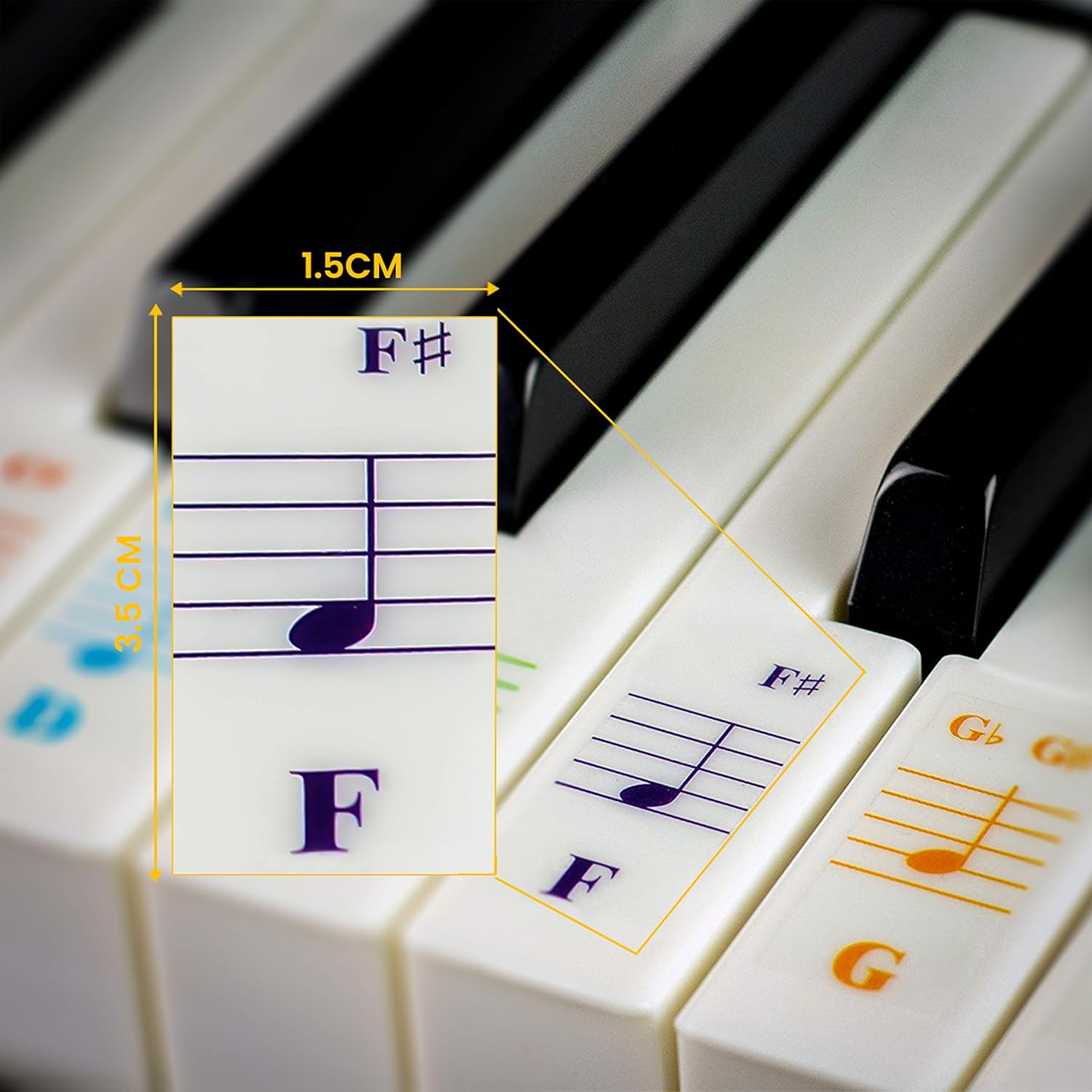 Buy now QMG Piano Keyboard Stickers for 88/76/61/54/49/37 Key Large Letter Piano Stickers for Learning, Removable Piano Keyboard Letters, Notes Label for Beginners and Kids, Made in USA at indiglob india