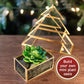 Christmas Tree Glass Terrarium- 8" Festive Planter for Holiday Home Decor- Add Xmas Cheer w DIY Succulents, Lights & Ornaments- Tabletop Centerpiece or Mantel, Office Decorations- Plant Lovers Gift