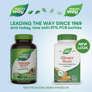 Nature's Way Ginger Root, Traditional Digestive Support*, 1110 mg Per Serving, Non-GMO Project Verified, 240 Capsules