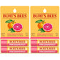 Burt's Bees Lip Balm - Strawberry, Lip Moisturizer With Responsibly Sourced Beeswax, Tint-Free, Natural Origin Conditioning Treatment, 2 Tubes, 0.15 oz.