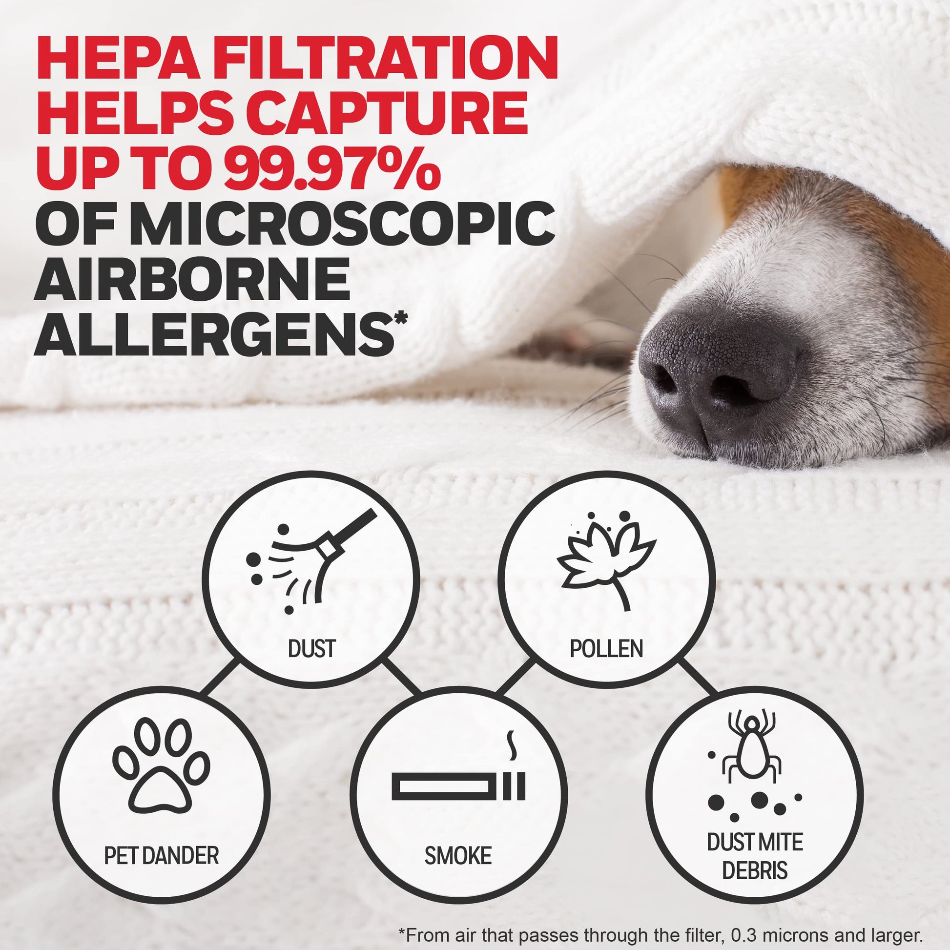 Buy now Honeywell HEPA Air Purifier Filter Kit – Includes 1 HEPA R Replacement Filter and 4 A Carbon Pre-Cut Pre-Filters – Airborne Allergen Air Filter Targets Wildfire/Smoke, Pollen, Pet Dander, and Dust at indiglob india