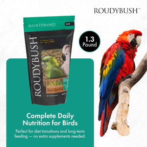 Buy now Roudybush Daily Maintenance Food for Birds - Scientifically Formulated Bird Feed - Bird Food Pellets w/Corn, Wheat, Soy & More - Nutritious & Healthy Feed for Birds (Medium, 22oz) at indiglob india