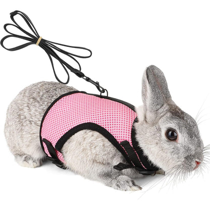 PETTOM Bunny Rabbit Harness with Stretchy Leash Cute Adjustable Buckle Breathable Mesh Vest for Kitten Small Pets Walking (Blue,S)
