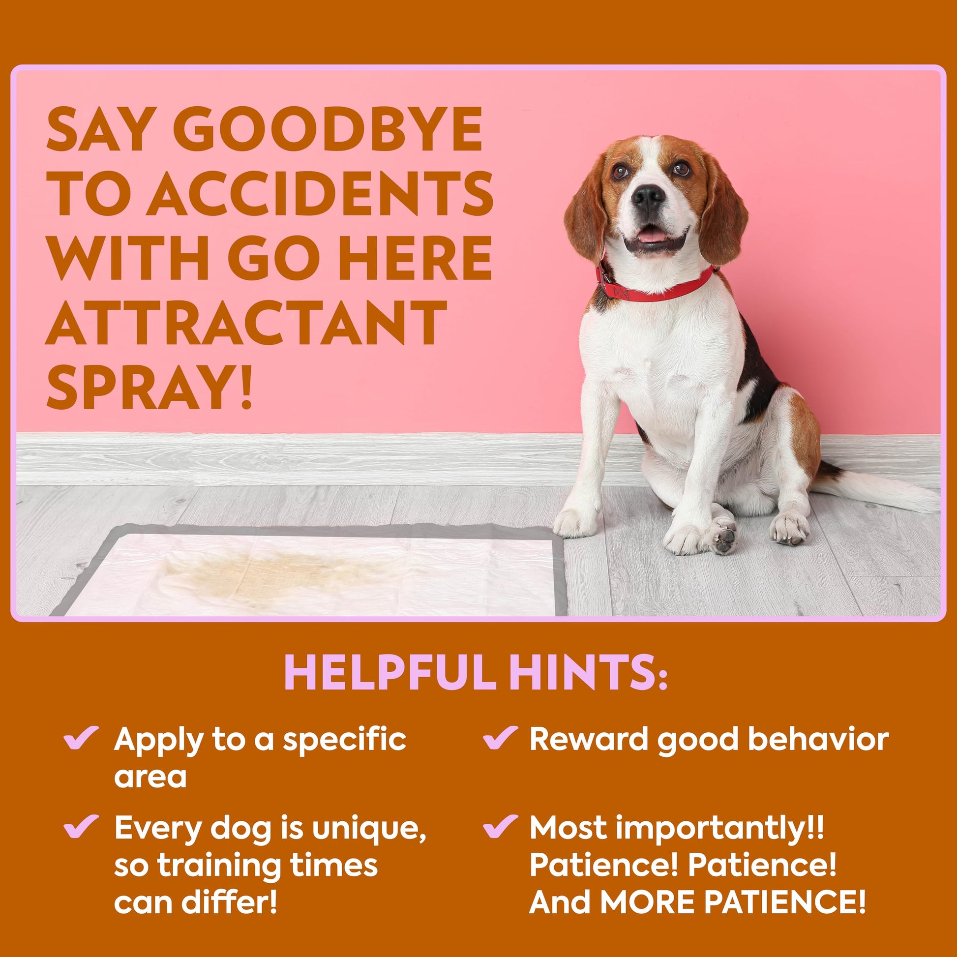 Buy now OUT! PetCare Go Here Attractant Dog and Puppy Potty Training Spray, Safe & Effective Puppy Pee Spray, Dog Housebreaking Supplies, Indoor and Outdoor House Training Tool, 32 oz at indiglob india