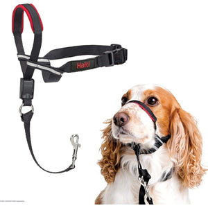 HALTI Optifit Headcollar - To Stop Your Dog Pulling on the Leash. Adjustable, Reflective and Lightweight, with Padded Nose Band. Dog Training Anti-Pull Collar for Medium Dogs (Size Medium)