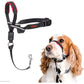HALTI Optifit Headcollar - To Stop Your Dog Pulling on the Leash. Adjustable, Reflective and Lightweight, with Padded Nose Band. Dog Training Anti-Pull Collar for Medium Dogs (Size Medium)
