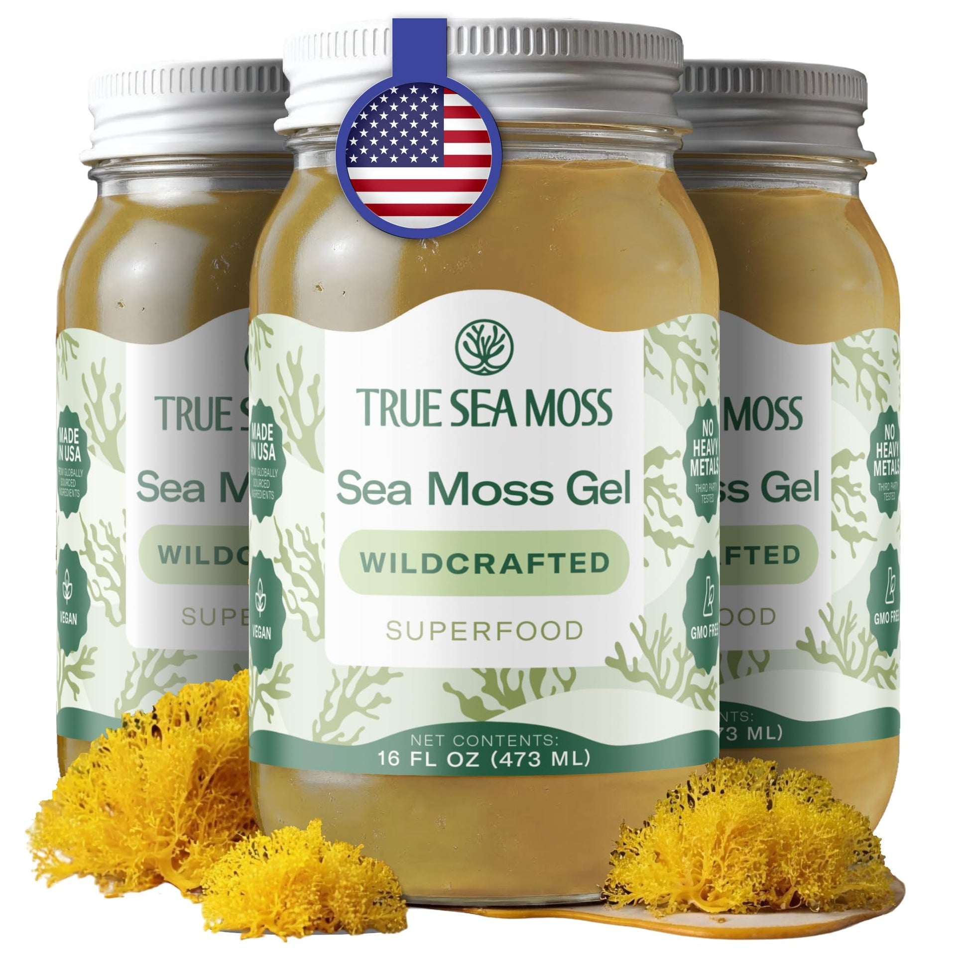 Buy now TrueSeaMoss Sea Moss Gel – Made in USA – Wildcrafted Seamoss, Fruits & Jarred Vegetables – Pineapple, Pack of 1 (Labels may Vary) at indiglob india
