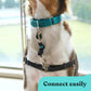 Gentle Creatures Collar Companion - Adjustable Backup Clip for Dog Harness, Prong, Pinch Collars, Gentle Lead - Double Ended Backup Clasp - Harness to Collar Safety Clip