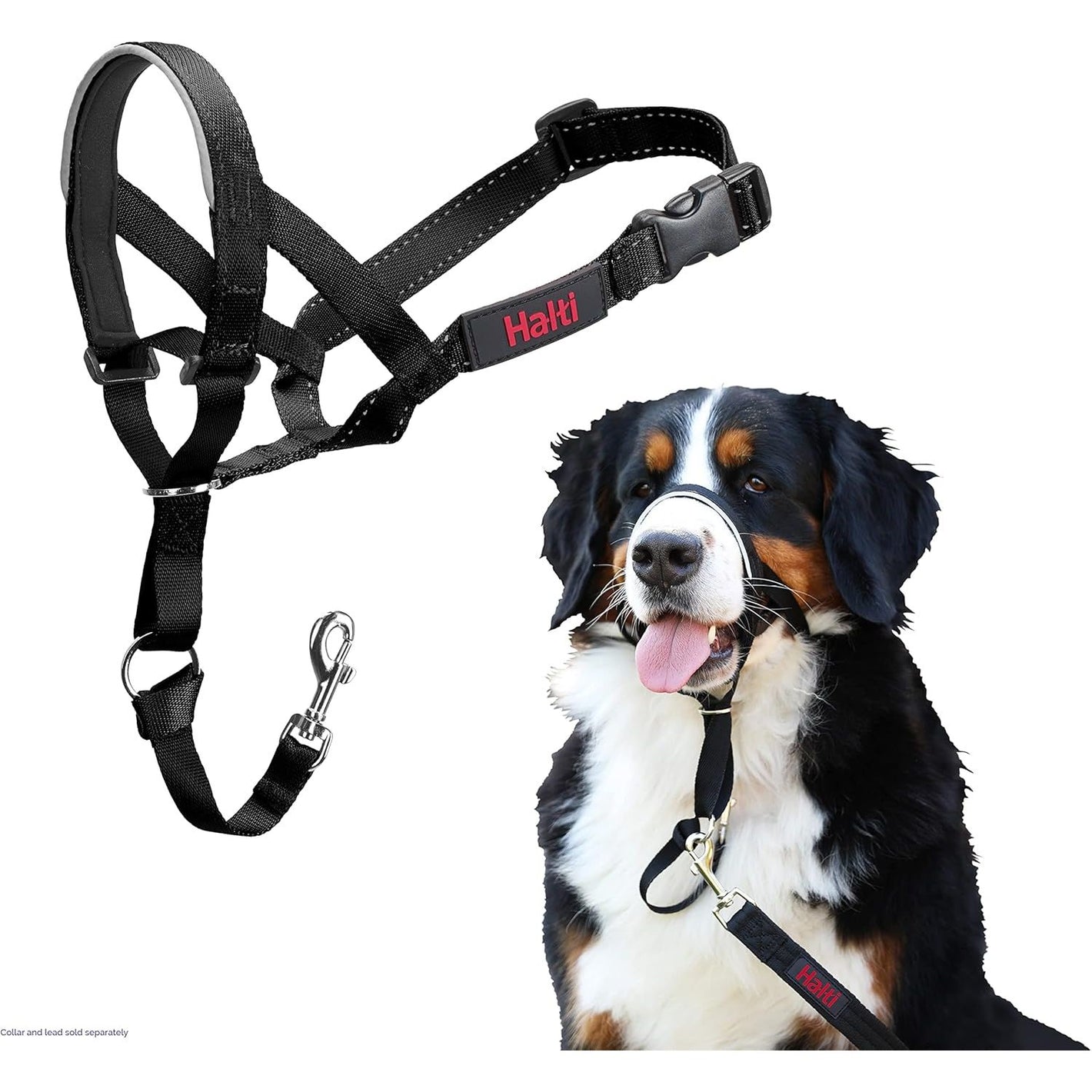 HALTI Headcollar - To Stop Your Dog Pulling on the Leash. Adjustable, Reflective and Lightweight, with Padded Nose Band. Dog Training Anti-Pull Collar for Large Dogs (Size 4, Black)