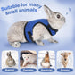 PETTOM Bunny Rabbit Harness with Stretchy Leash Cute Adjustable Buckle Breathable Mesh Vest for Kitten Small Pets Walking (Blue,S)