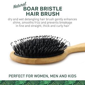 Natural Boar Bristle Hair Brush for Women, Men, Kids; Dry and Wet Detangling Hair Brush Gently Enhances Shine, Smooths Frizz and Prevents Breakage in Fine and Straight, Thick and Curly Hair (oval)