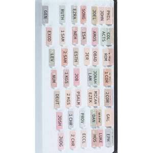 DiverseBee Laminated Bible Tabs (Large Print, Easy to Apply), Bible Tabs Old and New Testament, Bible Study Journaling Supplies, Bible Accessories, Bible Index Tabs, 72 Bible Book Tabs (Petal) Medium