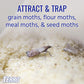 TERRO T2900 (Pack of 2) Pantry Moth Traps - Traps grain moths, flour moths, meal moths, and seed moths, (Packaging May Vary)