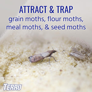 TERRO T2900 (Pack of 2) Pantry Moth Traps - Traps grain moths, flour moths, meal moths, and seed moths, (Packaging May Vary)