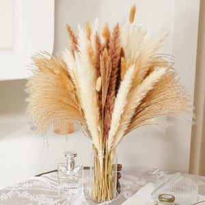 Buy now Seniny Pampas Grass, 80 Pcs Dried Pampas Grass Decor Tall 17", Natural Brown & White Pompous Grass | Bunny Tails Dried Flowers | Wheat Stalks | Reed for Boho Home Wedding Decor, Flower Arrangement at indiglob india