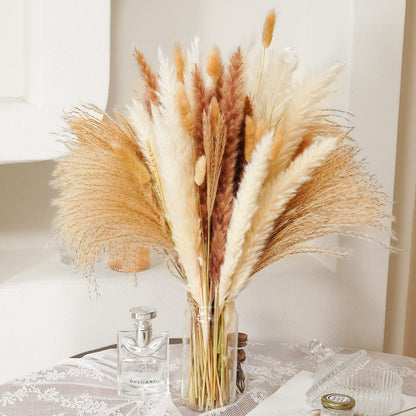 Buy now Seniny Pampas Grass, 80 Pcs Dried Pampas Grass Decor Tall 17", Natural Brown & White Pompous Grass | Bunny Tails Dried Flowers | Wheat Stalks | Reed for Boho Home Wedding Decor, Flower Arrangement at indiglob india
