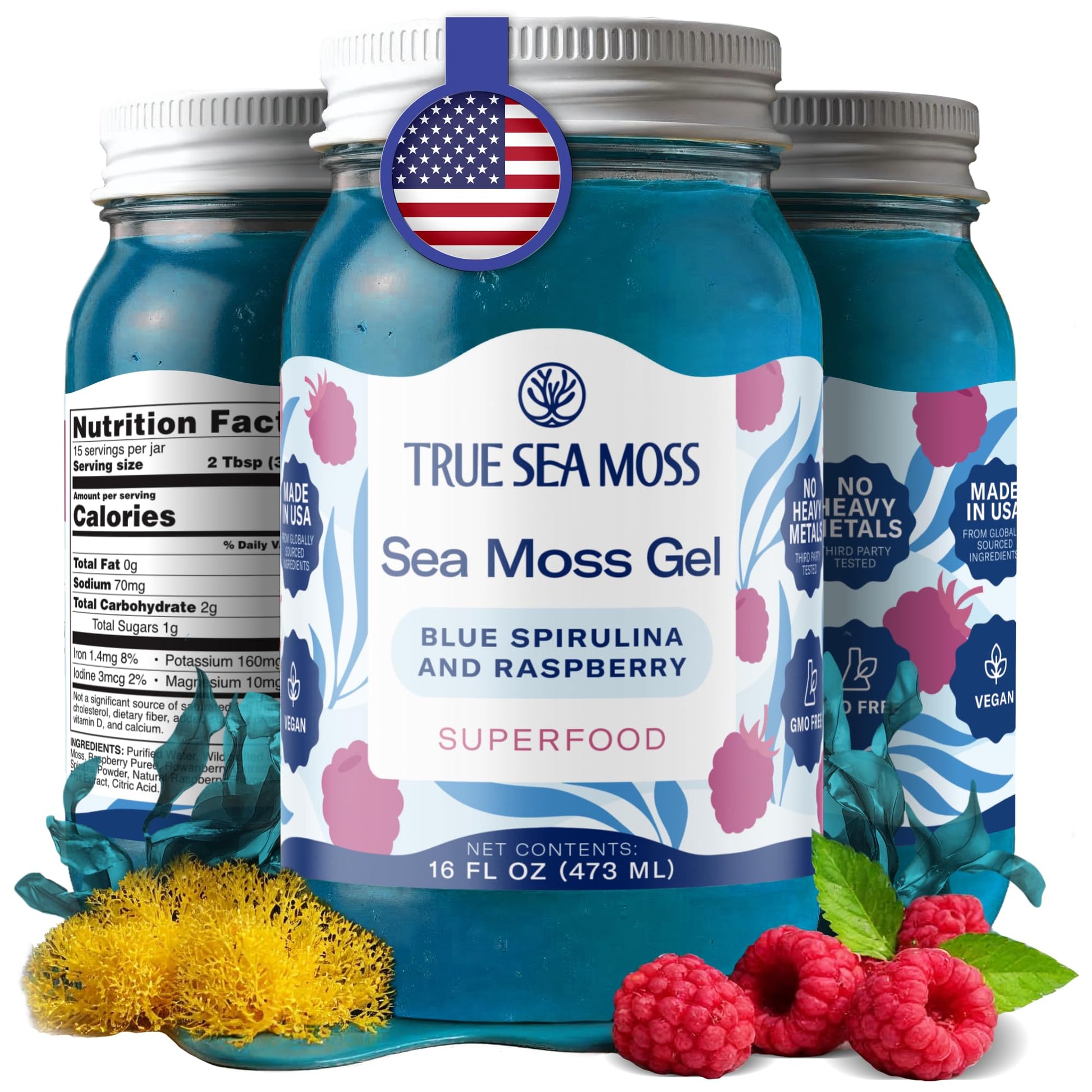Buy now TrueSeaMoss Sea Moss Gel – Made in USA – Wildcrafted Seamoss, Fruits & Jarred Vegetables – Pineapple, Pack of 1 (Labels may Vary) at indiglob india