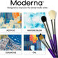 Royal & Langnickel Moderna, 5pc Oval Mop Variety Brush Set for All Painting Mediums, Includes - Mop, Fan & Half Moon Brushes Purple