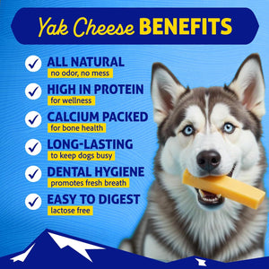 Himalayan Dog Chew Original Yak Cheese Dog Chew, 3 XL/Large Sticks, 3.3 oz, Gluten Free, Healthy Dog Treats, Grain & Lactose Free 100% Natural, Long Lasting Chews for Dogs Under 65 lbs