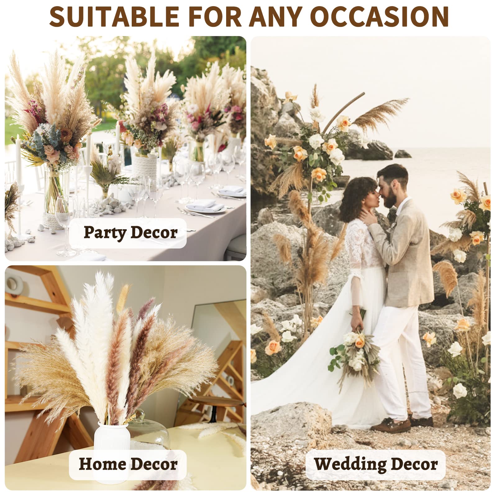 Buy now Seniny Pampas Grass, 80 Pcs Dried Pampas Grass Decor Tall 17", Natural Brown & White Pompous Grass | Bunny Tails Dried Flowers | Wheat Stalks | Reed for Boho Home Wedding Decor, Flower Arrangement at indiglob india