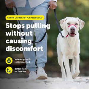 PetSafe Gentle Leader Headcollar No-Pull Dog Collar - Helps Improve Walks - Durable Nylon Construction - Padded Nose Loop - Adjustable Fit - Comfort Walking Halter - Large, Raspberry Pink