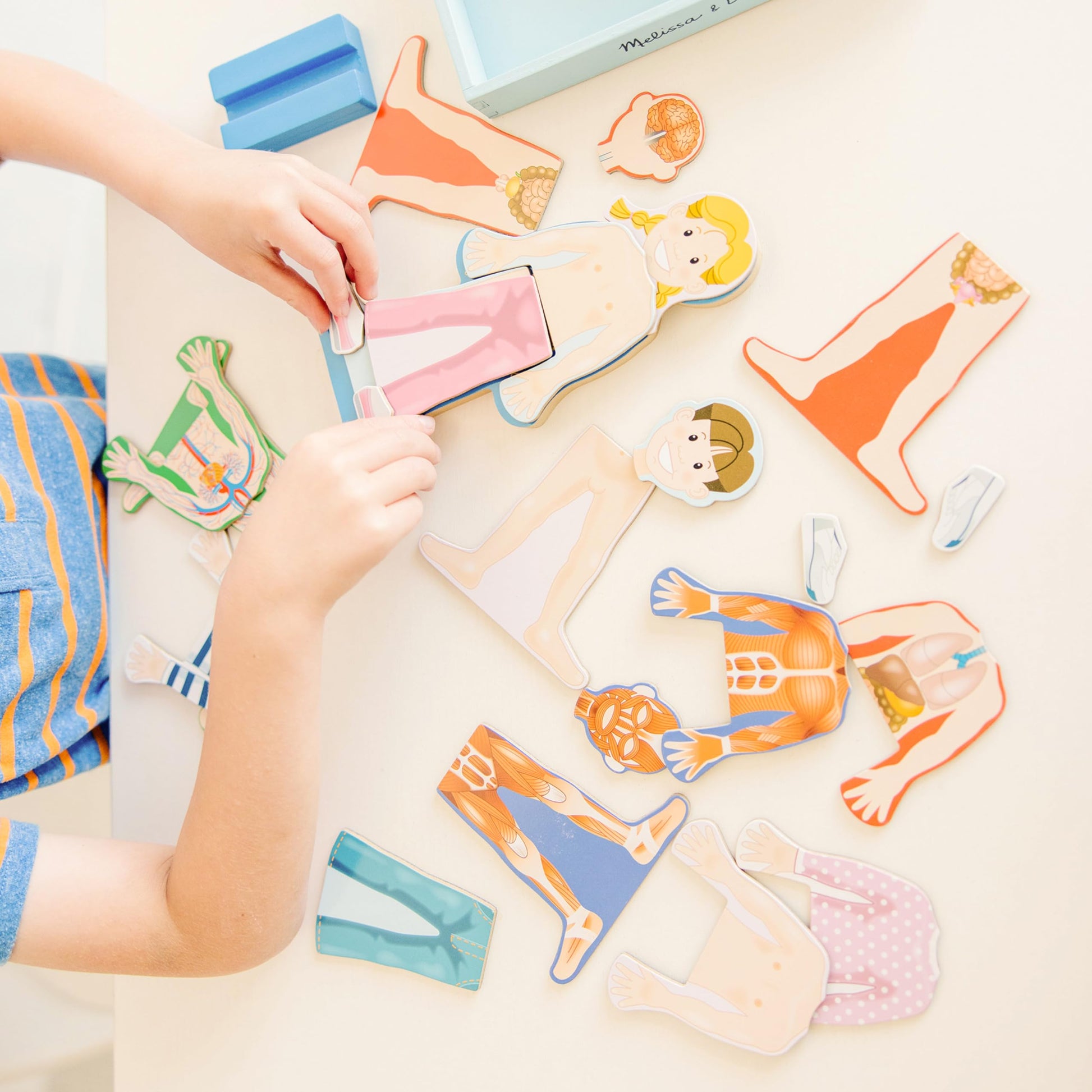 Buy now Melissa & Doug Magnetic Human Body Anatomy Play Set with 24 Magnetic Pieces and Storage Tray at indiglob india