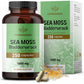 HERBAMAMA Sea Moss and Bladderwrack Capsules - 1600mg Irish Sea Moss for Immune Support - Vegan, Non-GMO Immunity Supplement for Overall Support