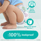 Buy now Pampers Easy Ups Boys & Girls Bluey Potty Training Pants - Size 2T-3T, 132 Count, Training Underwear (Packaging May Vary) at indiglob india