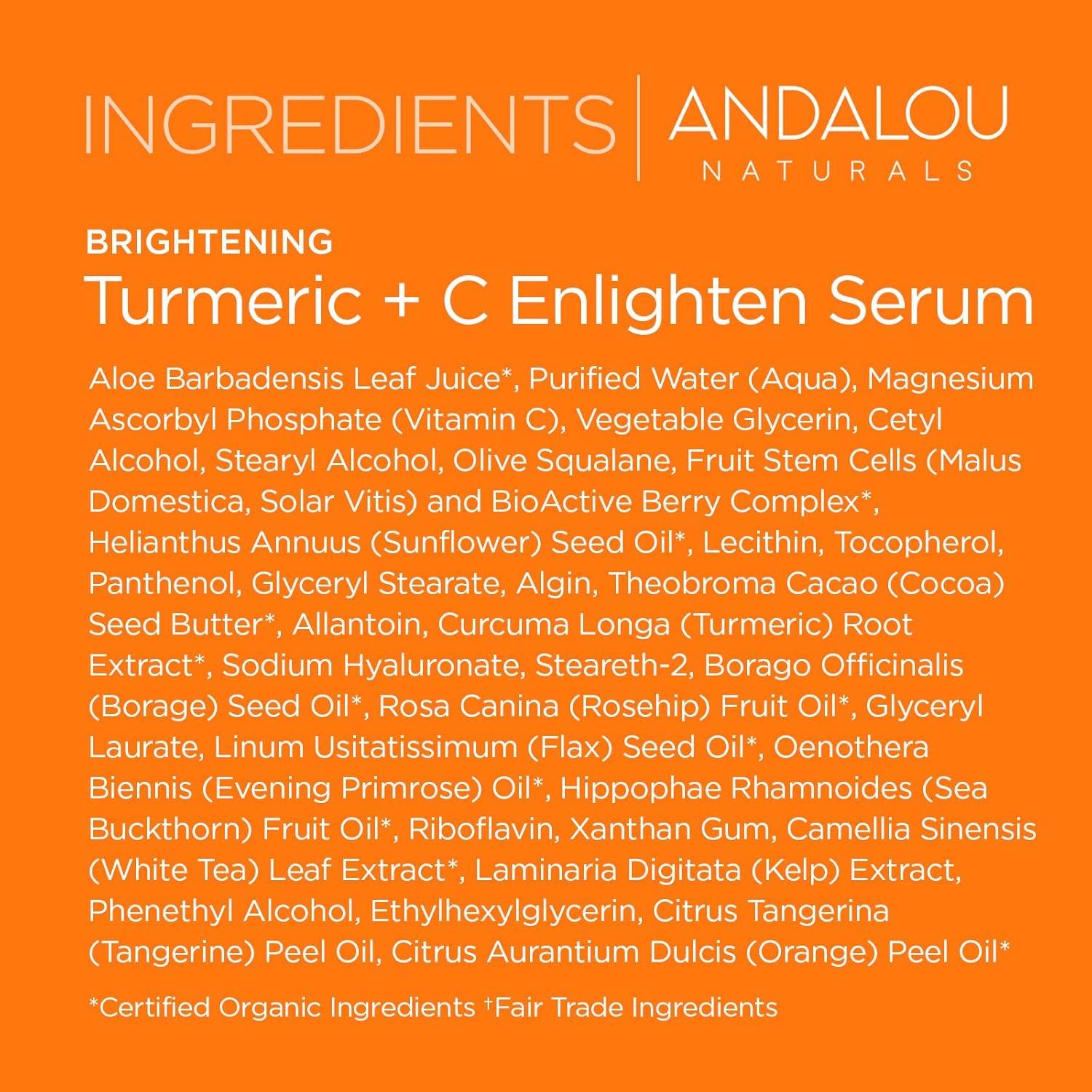 Andalou Naturals Turmeric + Vitamin C Enlighten Serum | Illuminating Face Treatment for Uneven Tone & Sun Damage | With Turmeric and Fruit Stem Cells | 1.1 fl oz - My Store