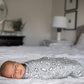 Buy now Copper Pearl Large Premium Knit Baby Swaddle Receiving Blanket Champ at indiglob india