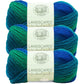(1 Skein) Lion Brand Yarn Landscapes Yarn, Desert Spring