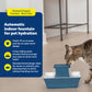 Buy now PetSafe Drinkwell Pagoda Fountain - Hygienic Ceramic Continuous Flowing Fountain - Elevated Upper Bowl & Double Free-Falling Stream Design - Minimalist Pet Hydration Station - 70 oz Capacity at indiglob india