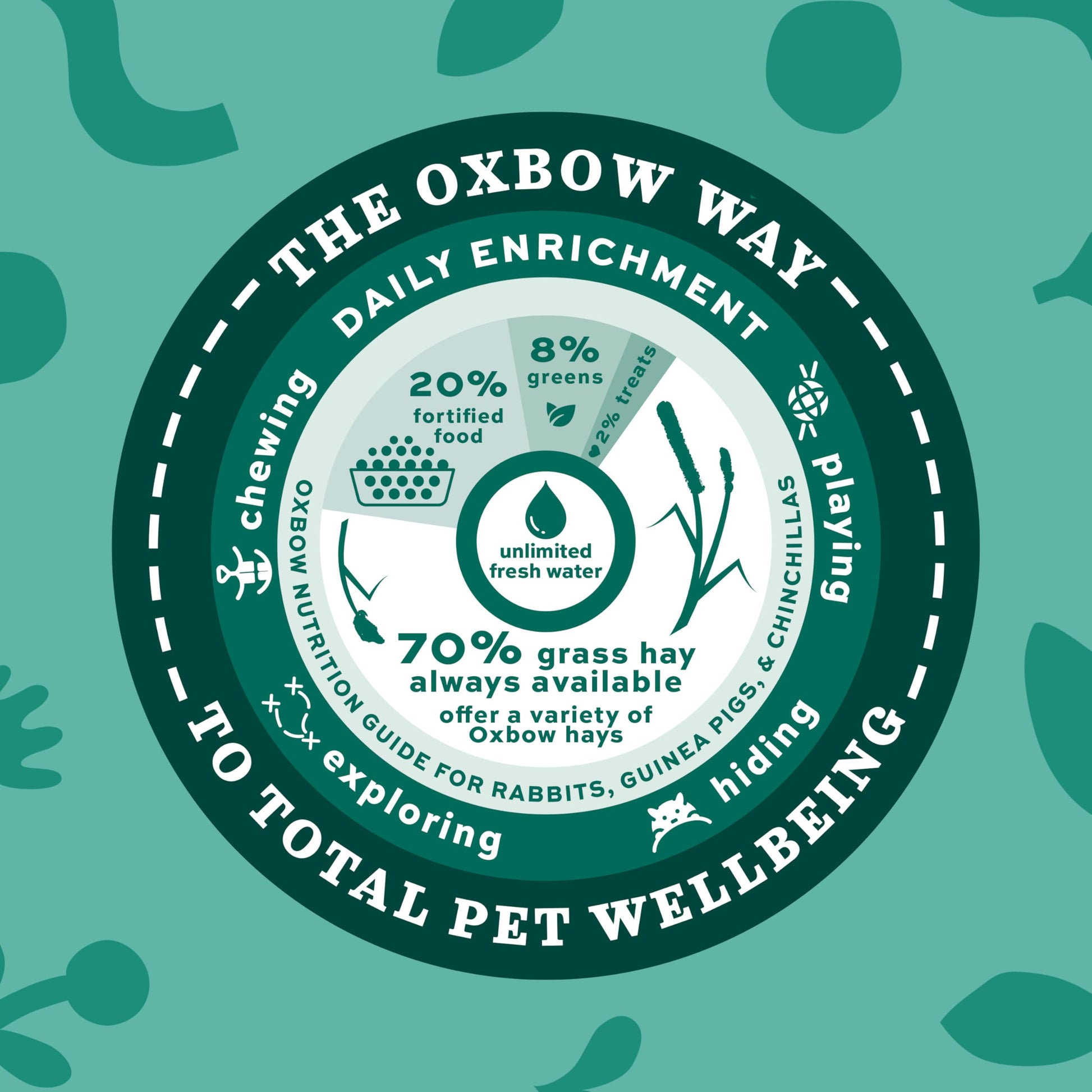 Buy now Oxbow Orchard Grass Hay, Rabbit & Guinea Pig Hay, High Fiber for Digestive Health, Grown in the USA, Veterinarian Recommended Small Pet Supplies, for Rabbits, Guinea Pigs, & Chinchillas, 15 oz. at indiglob india