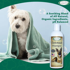 Oatmeal Dog Shampoo for Itchy Skin - Gentle, pH-Balanced Cleanser with Calming Vanilla & Lavender - Ideal for Dry, Flaky & Sensitive Coats - Mild Formula for Comfort (16 Ounce)