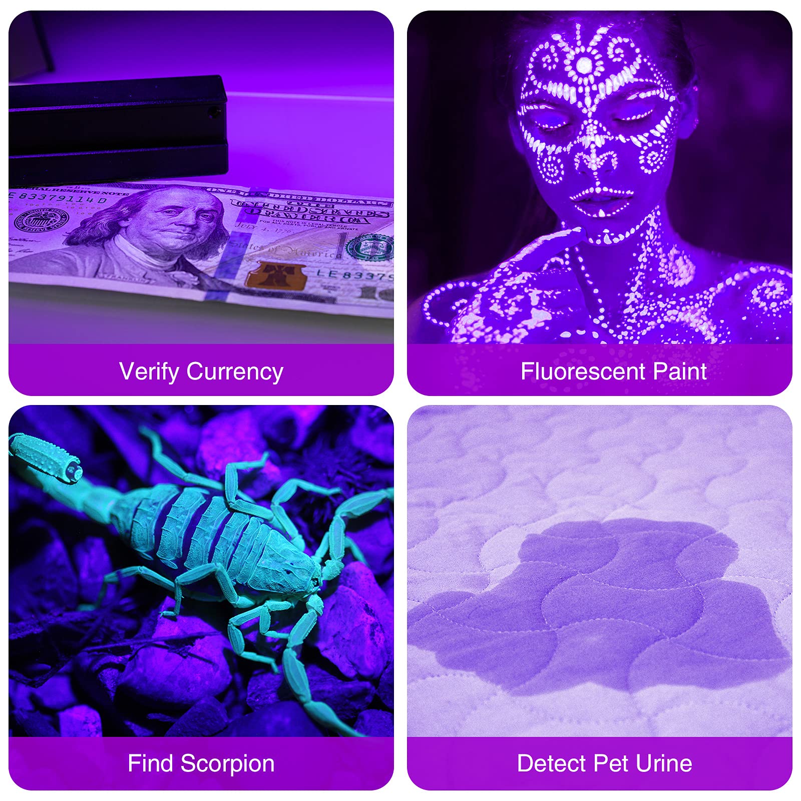 Buy now SEVENKA Black Light Flashlight, 2 Pack 12 LED UV Blacklight Flashlight, 395nm Handheld Mini Torch Light, Professional Urine Detector for Dog Pet Urine Stains, Bed Bugs and Scorpions. at indiglob india