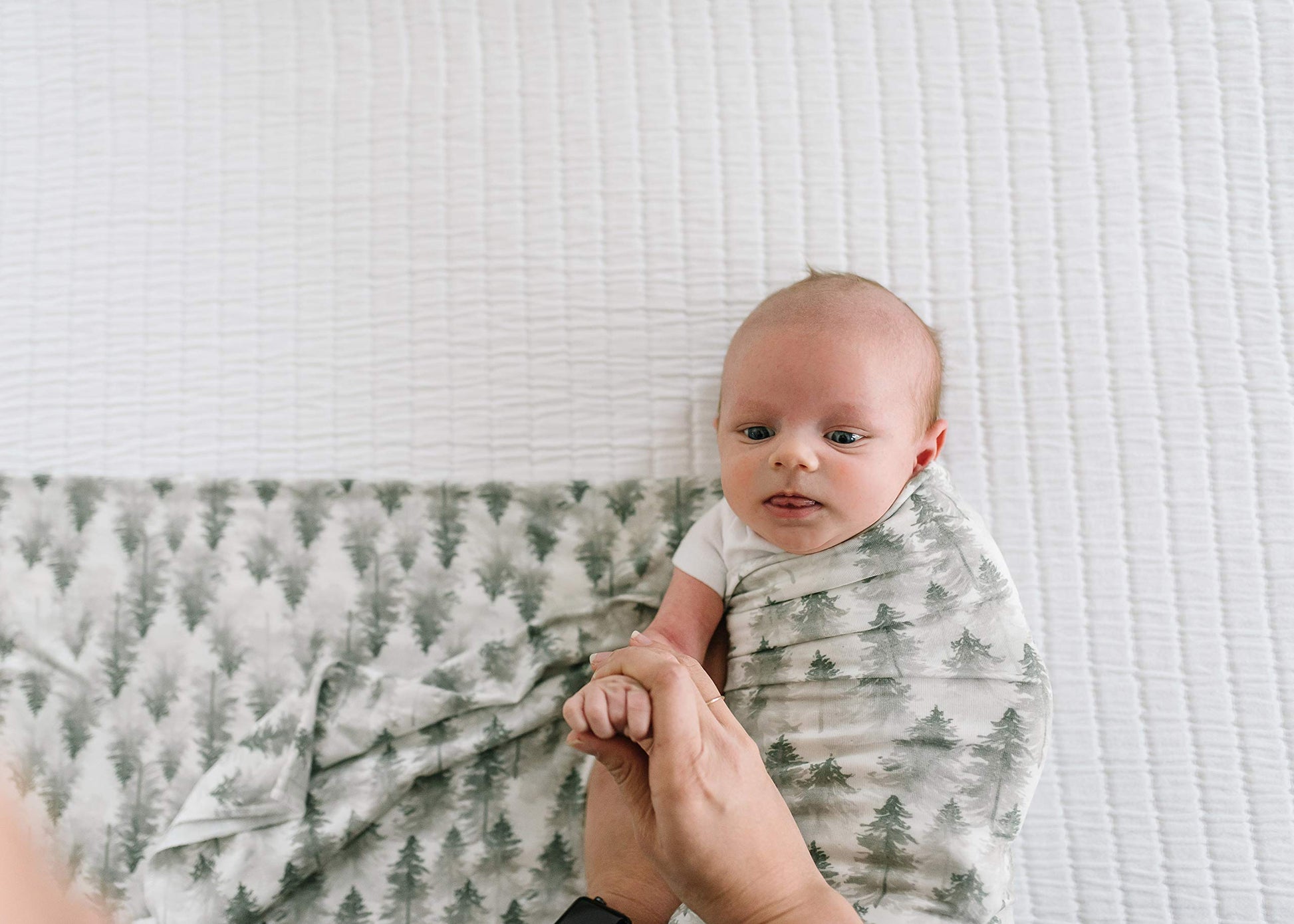 Buy now Copper Pearl Large Premium Knit Baby Swaddle Receiving Blanket Evergreen at indiglob india