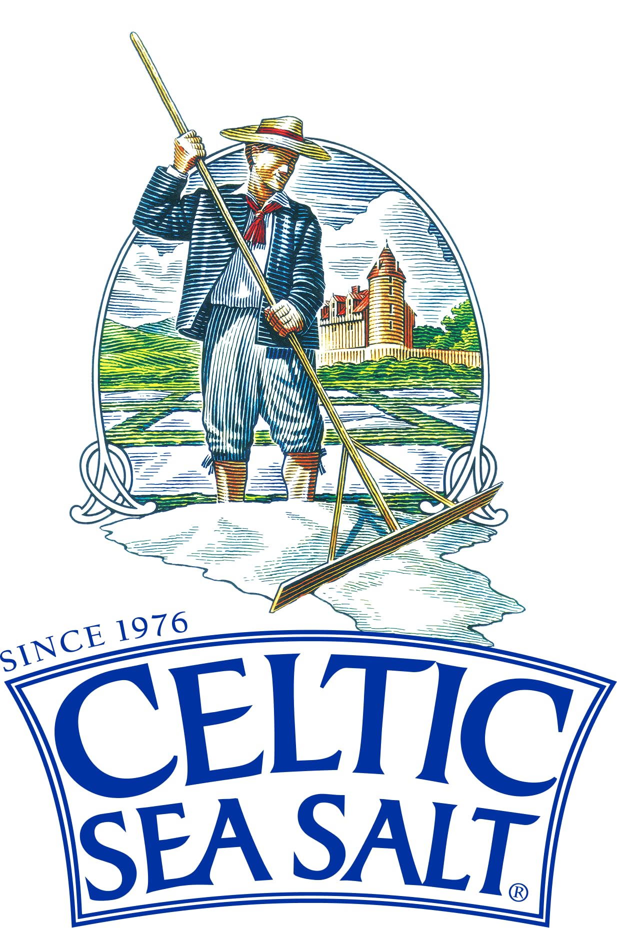 Buy now Celtic Sea Salt, Fine Ground Mineral Sea Salt, 1 lb Resealable Bag, Unrefined Hydration, Vital Minerals, Family Founded Since 1976 at indiglob india