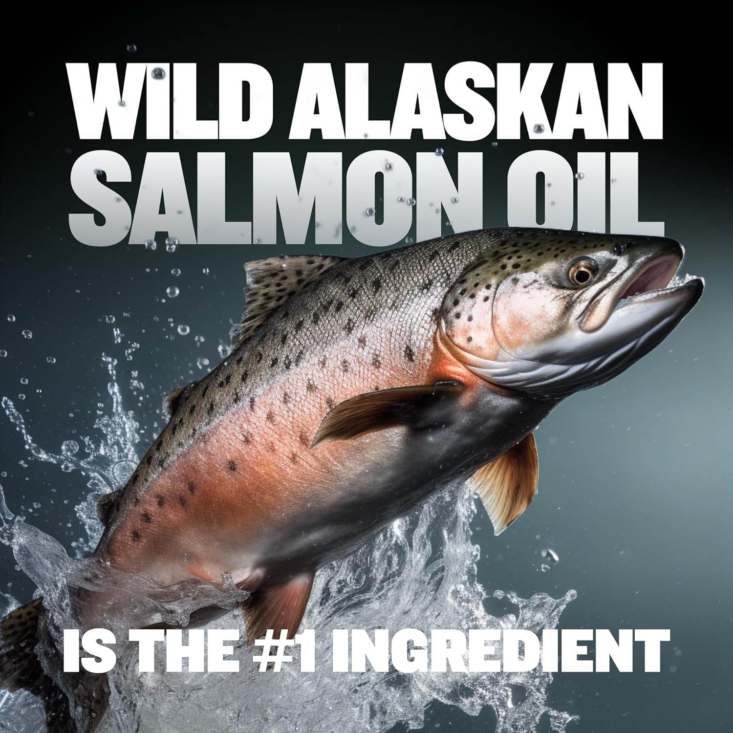 Bully Max 7-in-1 Dog Multivitamin Powder with Omega 3, 6, Glucosamine & Chondroitin for Immune System, Digestive & Joint Health - Food Topper, Vitamins & Supplements for Puppy & Adult Dogs, 13Oz Bag - My Store