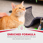 Buy now FURminator® Rinse-Free deShedding Foaming Shampoo for Cats, 8.5 oz at indiglob india