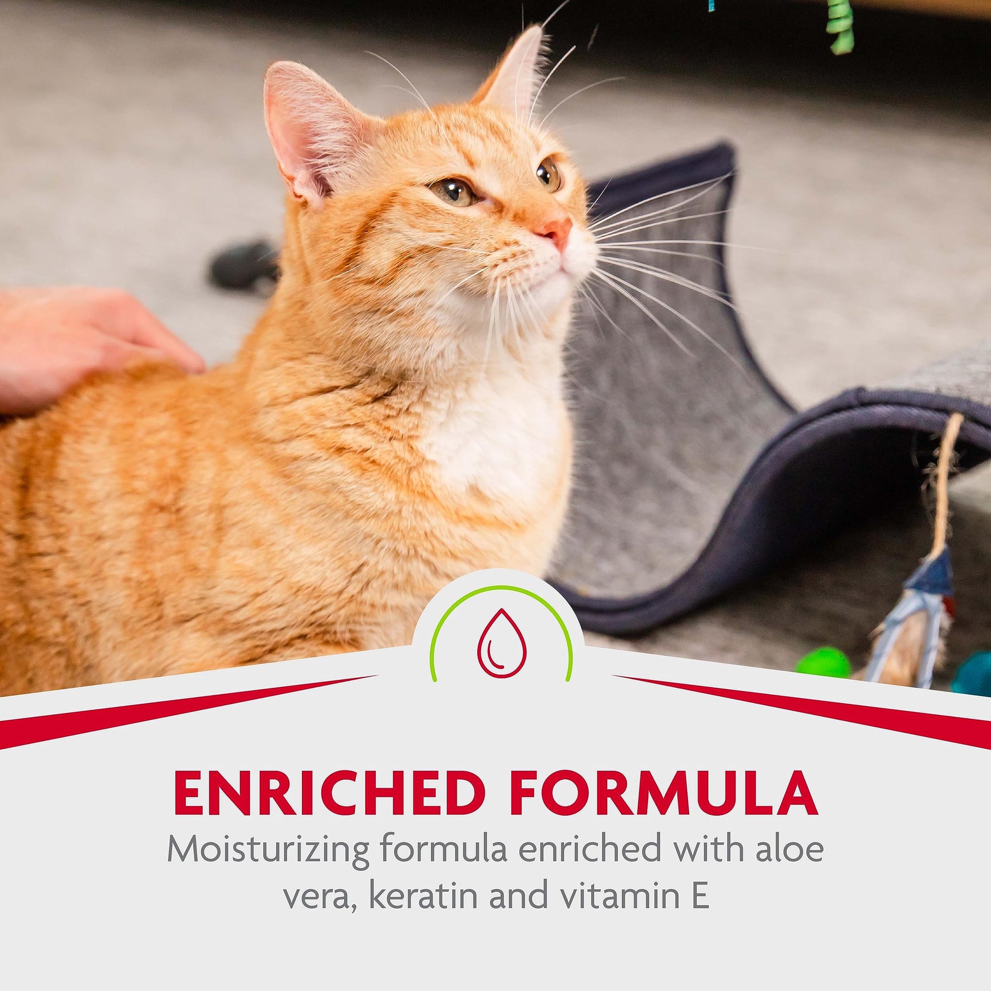 Buy now FURminator® Rinse-Free deShedding Foaming Shampoo for Cats, 8.5 oz at indiglob india