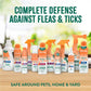 Buy now TropiClean Gentle Flea Shampoo for Cats, Flea and Tick Prevention for Cats, Powerful & Natural Defense, Made in USA, 12 oz. at indiglob india