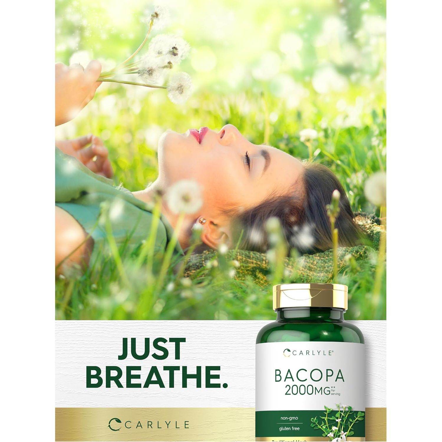 Carlyle Bacopa Monnieri Capsules | 180 Capsules | Gluten Free Supplement - My Store