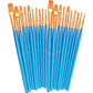 BOSOBO Paint Brushes Set, 2 Pack 20 Pcs Round-Pointed Tip Nylon Hair Artist Acrylic Paint Brushes for Acrylic Painting Oil Watercolor, Face Nail Art, Canvas, Miniature Detailing & Rock Painting, Blue